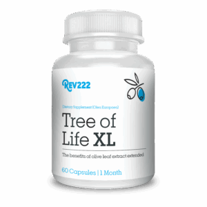 Tree of Life XL 60 ct by Rev222